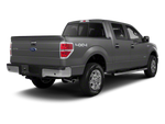 2010 Ford F-150 XL