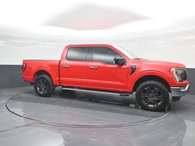 2021 Ford F-150 XLT 302A V8