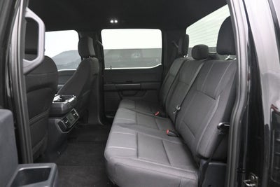 2026 Ford F-150 STX LOBO