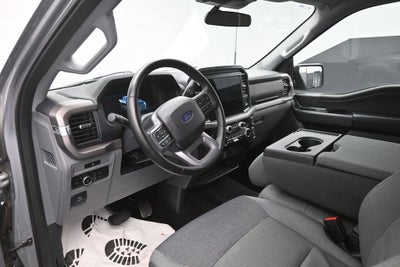 2025 Ford F-150 XLT V8