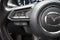 2023 Mazda Mazda CX-9 Carbon Edition