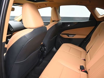 2025 Lexus NX 250 Premium