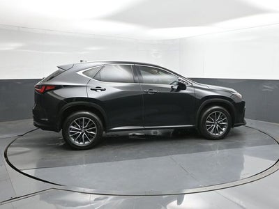 2025 Lexus NX 250 Premium