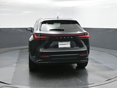 2025 Lexus NX 250 Premium