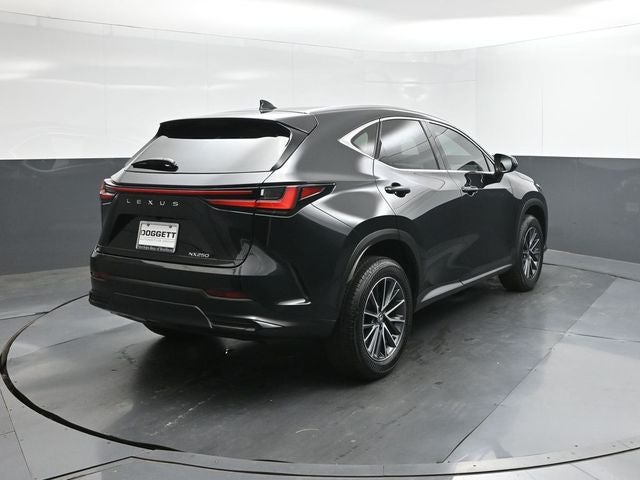 2025 Lexus NX 250 Premium
