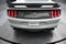 2021 Ford Mustang Mach 1