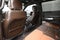 2024 Ford F-250SD King Ranch