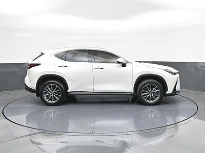 2024 Lexus NX 250 Premium