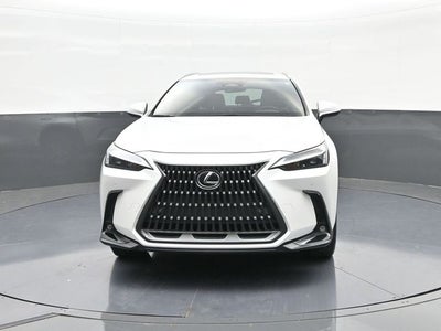 2024 Lexus NX 250 Premium