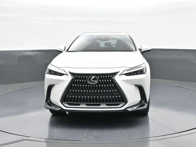 2024 Lexus NX 250 Premium