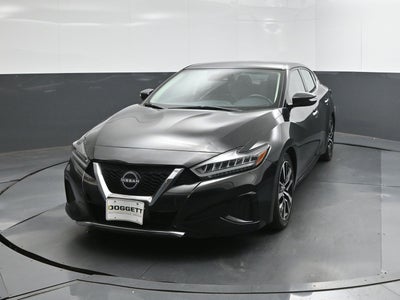 2023 Nissan Maxima SV